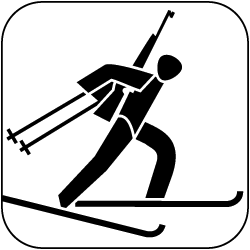 icon_biathlon_schwarz_auf_weiss_250px
