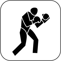 icon_boxen_schwarz_auf_weiss_250px