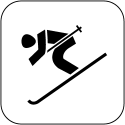 icon_ski_alpin_schwarz_auf_weiss_250px