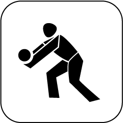 icon_volleyball_schwarz_auf_weiss_250px